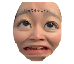 457796306