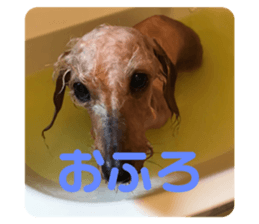 457821269