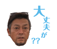 457951903