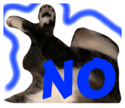 457997875