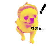 458031687