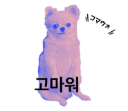 458031688