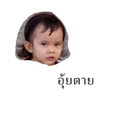 458061684