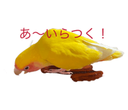 458108412