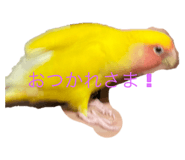 458108422