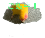 458108426