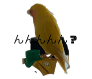 458108433