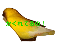 458108439