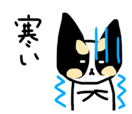 458161266