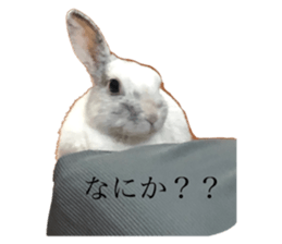 458223985