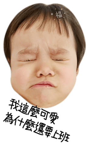 458247646