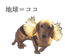 458253490
