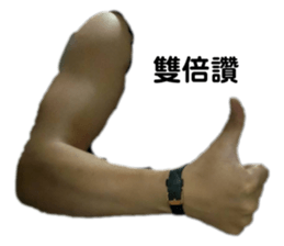 458262229