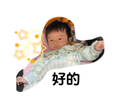 458280254
