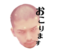 458299176