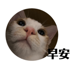 458313719