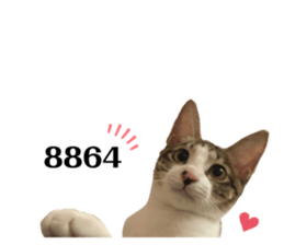 458313726