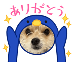 458334725