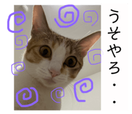458338337