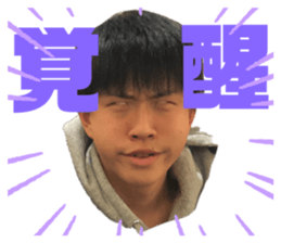 458346229