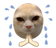 458353875