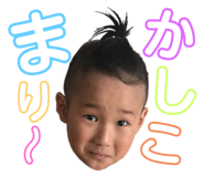 458355556