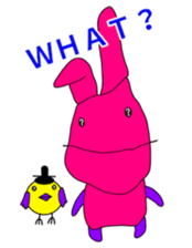 45835775