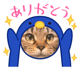 458361744