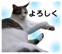 458488630
