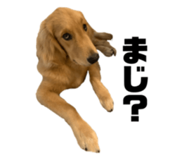 458544604