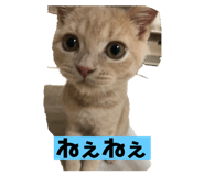 458571928