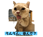 458571930