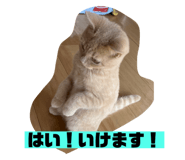 458571931