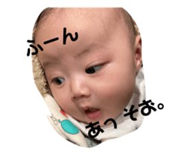 458575446