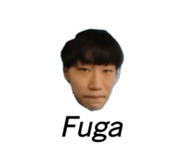 458598412