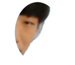 458598427