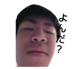 458599126