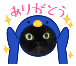 458603031