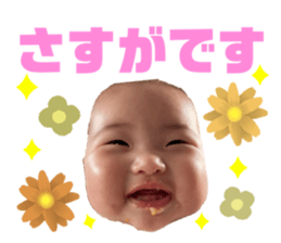 458608323