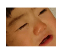 45866190