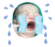 458731659