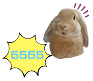 458849964