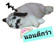 458849969