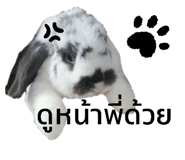 458849980