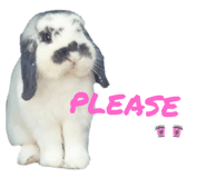458849986