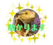 458850667