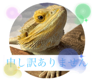 458850671