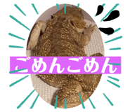 458850673