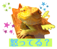 458850676