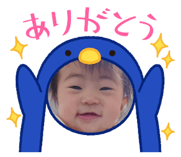 458862542